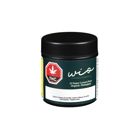 Super Lemon Haze Biologique